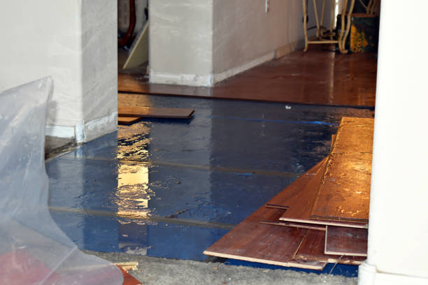 Professional Basement Flood Cleanup technician working in Eau Claire, PA
